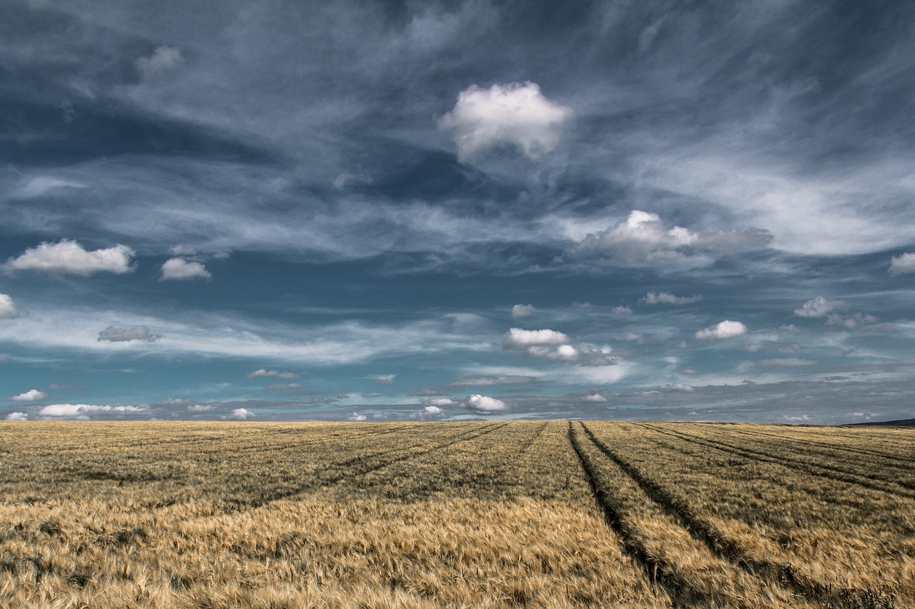 Making the Case for Community Wind Farms